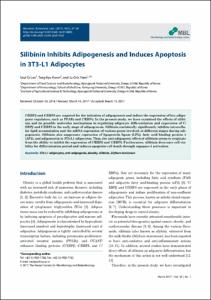 Silibinin Inhibits Adipogenesis and Induces Apoptosis in 3T3-L1 Adipocytes