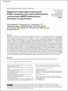 Magnesium hydroxide-incorporated PLGA composite attenuates inflammation and promotes BMP2-induced bone formation in spinal fusion