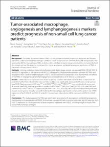 Tumor-associated macrophage, angiogenesis and lymphangiogenesis markers predict prognosis of non-small cell lung cancer patients
