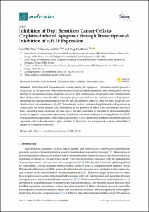 Inhibition of Drp1 Sensitizes Cancer Cells to Cisplatin-Induced Apoptosis through Transcriptional Inhibition of c-FLIP Expression