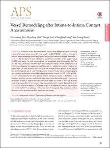 Vessel Remodeling after Intima-to-Intima Contact Anastomosis