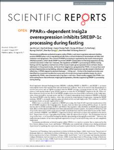 PPARalpha-dependent Insig2a overexpression inhibits SREBP-1c processing during fasting