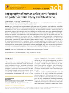 Topography of human ankle joint: focused on posterior tibial artery and tibial nerve