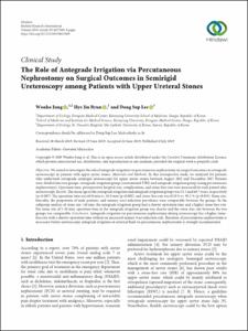 The Role of Antegrade Irrigation via Percutaneous Nephrostomy on Surgical Outcomes in Semirigid Ureteroscopy Among Patients With Upper Ureteral Stones