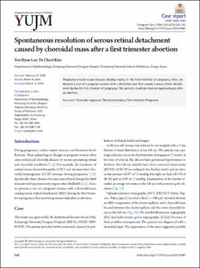 Spontaneous resolution of serous retinal detachment caused by choroidal mass after a first trimester abortion