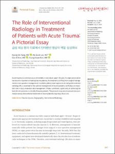 The Role of Interventional Radiology in Treatment of Patients with Acute Trauma: A Pictorial Essay