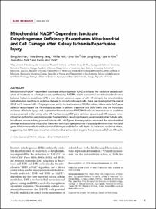 Mitochondrial NADP(+)-Dependent Isocitrate Dehydrogenase Deficiency Exacerbates Mitochondrial and Cell Damage after Kidney Ischemia-Reperfusion Injury
