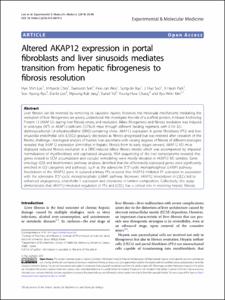Altered AKAP12 expression in portal fibroblasts and liver sinusoids mediates transition from hepatic fibrogenesis to fibrosis resolution.