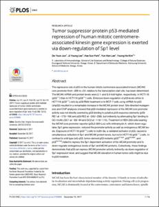 Tumor suppressor protein p53-mediated repression of human mitotic centromere-associated kinesin gene expression is exerted via down-regulation of Sp1 level