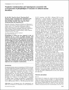 Neoplastic transformation and tumorigenesis associated with overexpression of phospholipase D isozymes in cultured murine fibroblasts
