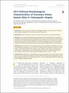 OCT-Defined Morphological Characteristics of Coronary Artery Spasm Sites in Vasospastic Angina