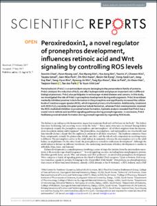 Peroxiredoxin1, a novel regulator of pronephros development, influences retinoic acid and Wnt signaling by controlling ROS levels