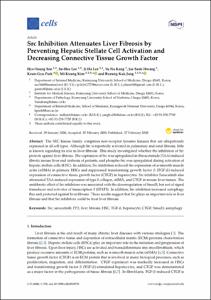 Src Inhibition Attenuates Liver Fibrosis by Preventing Hepatic Stellate Cell Activation and Decreasing Connetive Tissue Growth Factor