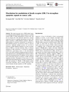 Elucidation for modulation of death receptor (DR) 5 to strengthen apoptotic signals in cancer cells