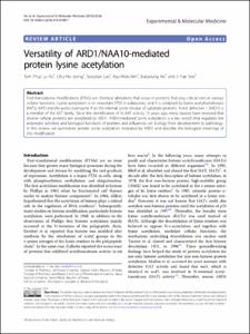 Versatility of ARD1/NAA10-mediated protein lysine acetylation