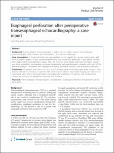 Esophageal perforation after perioperative transesophageal echocardiography: a case report