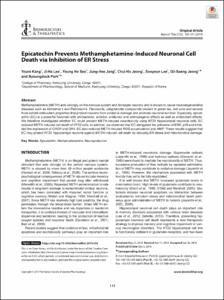 Epicatechin Prevents Methamphetamine-Induced Neuronal Cell Death via Inhibition of ER Stress