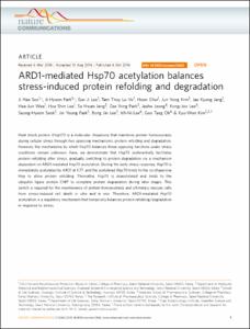 ARD1-mediated HSP70 acetylation balances stress-induced protein refolding and degradation