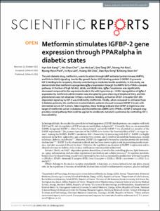 Metformin stimulates IGFBP-2 gene expression through PPARalpha in diabetic states