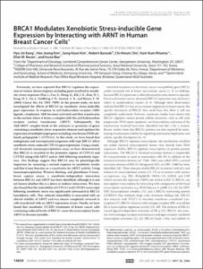 BRCA1 Modulates Xenobiotic Stress-inducible Gene Expression by Interacting with ARNT in Human Breast Cancer Cells