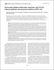 Bortezomib inhibits proliferation, migration, and TGF-β1-induced epithelial-mesenchymal transition of RPE cells