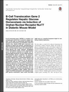 B-Cell Translocation Gene 2
Regulates Hepatic Glucose
Homeostasis via Induction of
Orphan Nuclear Receptor Nur77
in Diabetic Mouse Model