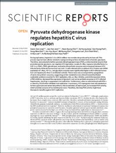 Pyruvate dehydrogenase kinase regulates hepatitis C virus replication