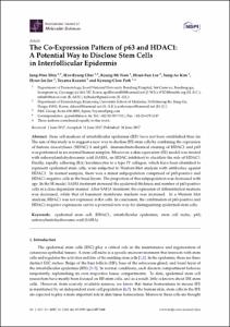 The Co-Expression Pattern of p63 and HDAC1: A Potential Way to Disclose Stem Cells in Interfollicular Epidermis