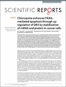 Chloroquine enhances TRAIL-mediated apoptosis through up-regulation of DR5 by stabilazation of mRNA and protein in cancer cells