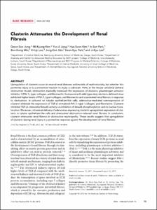 Clusterin Attenuates the Development of Renal Fibrosis
