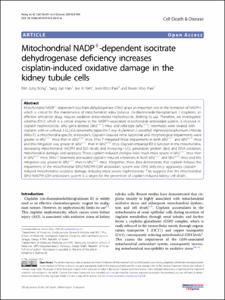 Mitochondrial NADP(+)-dependent isocitrate dehydrogenase deficiency increases cisplatin-induced oxidative damage in the kidney tubule cells