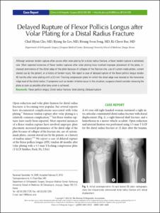 Delayed Rupture of Flexor Pollicis Longus after Volar Plating for a Distal Radius Fracture