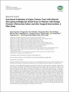 Functional Evaluation of Upper Urinary Tract with Diuretic Mercaptoacetyltriglycine Renal Scans in Patients with Benign Prostatic Obstruction before and after Surgical Intervention: A Pilot Study