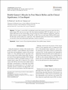 Double Gantzer’s Muscles by Four Muscle Bellies and Its Clinical Significance: A Case Report