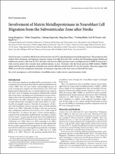 Involvement of Matrix Metalloproteinase in Neuroblast Cell Migration from the Subventricular Zone after Stroke