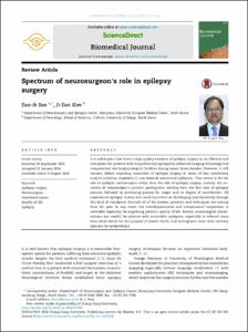 Spectrum of neurosurgeon's role in epilepsy surgery