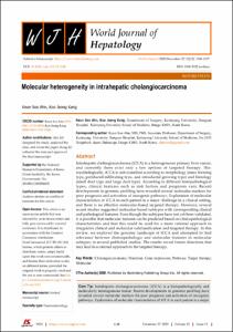 Molecular heterogeneity in intrahepatic cholangiocarcinoma
