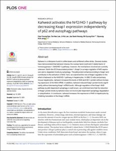 Kahweol activates the Nrf2/HO-1 pathway by decreasing Keap1 expression independently of p62 and autophagy pathways