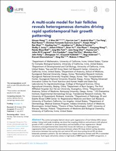A multi-scale model for hair follicles reveals heterogeneous domains driving rapid spatiotemporal hair growth patterning