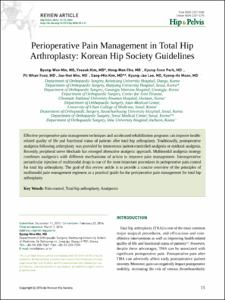 Perioperative Pain Management in Total Hip Arthroplasty: Korean Hip Society Guidelines