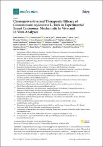 Chemopreventive and Therapeutic Efficacy of Cinnamomum zeylanicum L. Bark in Experimental Breast Carcinoma: Mechanistic In Vivo and In Vitro Analyses