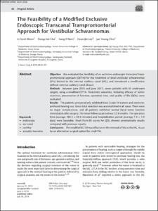 The Feasibility of a Modified Exclusive Endoscopic Transcanal Transpromontorial Approach for Vestibular Schwannomas