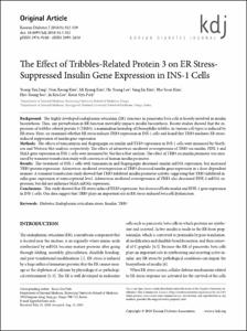 The Effect of Tribbles-Related Protein 3 on ER Stress-
Suppressed Insulin Gene Expression in INS-1 Cells