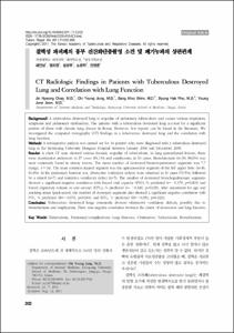 결핵성 파괴폐의 흉부 전산화단층촬영 소견 및 폐기능과의 상관관계