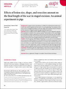 Effects of lesion size, shape, and resection amount on the final length of the scar in staged excision: An animal experiment in pigs